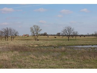 Tract 16 - LAND & MINERAL ACRES OKLAHOMA AUCTION, 588+/- Land & Producing Mineral Acres offered in 24 Tracts in Okmulgee County